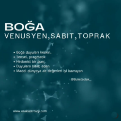 boğa